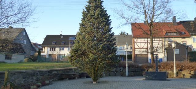Der Weihnachtsbaum in Mademühlen soll noch geschmückt werden