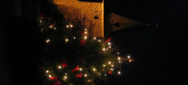 Weihnachtsbaum in Mademühlen