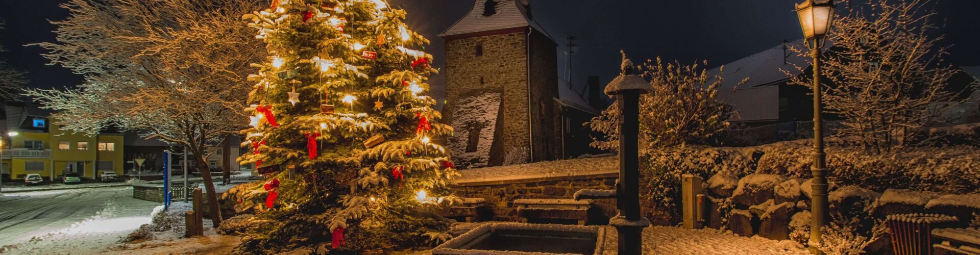 Weihnachtsbaum in Mademühlen, Bild Thomas Kempfer