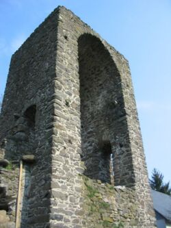 Junkernschloss-Ruine in Driedorf